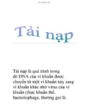 Tải nạp