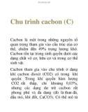 Tài liệu: Chu trình cacbon (C)