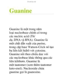 Guanine