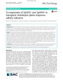 Co-expression of SpSOS1 and SpAHA1 in transgenic Arabidopsis plants improves salinity tolerance