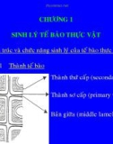 Bài giảng về Ti thể