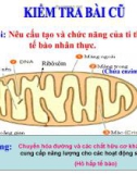 Bài giảng Sinh học 10 phần 1 chương 3 bài 16: Hô hấp tế bào