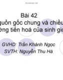 Giáo án điện tử môn sinh học: Sinh học lớp 12- Nguồn gốc chung và chiều hướng tiến hoá của sinh giới