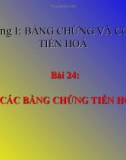 Bài giảng Sinh học 12 bài 24: Các bằng chứng tiến hóa