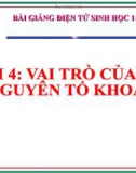 Bài giảng Sinh học lớp 11 bài 4: Vai trò của các nguyên tố khoáng