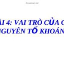 Bài giảng Sinh học: Vai trò của các nguyên tố khoáng