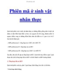 Phiên mã ở sinh vật nhân thực