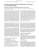 Báo cáo Y học: An active site homology model of phenylalanine ammonia-lyase from Petroselinum crispum