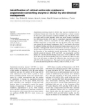 Báo cáo khoa học: Identiﬁcation of critical active-site residues in angiotensin-converting enzyme-2 (ACE2) by site-directed mutagenesis