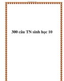 300 câu trắc nghiệm Sinh học 10