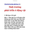 Câu hỏi ôn tập sinh học 11