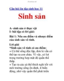 Câu hỏi ôn tập sinh học 11 Sinh sản