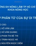 Cơ sở phân tử của sự di truyền