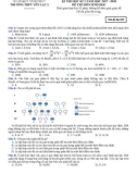 Đề thi học kì 1 môn Sinh học 12 năm 2017-2018 có đáp án - Trường THPT Yên Lạc 2 - Mã đề 209