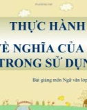 Bài giảng Ngữ văn 11 tuần 7: Thực hành về nghĩa của từ trong sử dụng