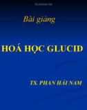 Bài giảng Hoá học Glucid