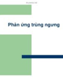 Phản ứng trùng ngưng