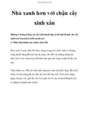 Nhà xanh hơn với chậu cây xinh xắn