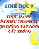 Bài giảng Sinh học 9 bài 39: Thực hành tìm hiểu thành tựu chọn giống vật nuôi và cây trồng