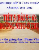 Bài giảng Sinh học 11 - Bài 5: Dinh dưỡng nitơ ở thực vật (Phạm Văn An)