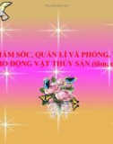 Bài giảng Công nghệ 7 bài 54: Chăm sóc quản lý và phòng trị bệnh cho động vật thủy sản