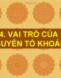 Bài giảng Sinh học 11 - Bài 4: Vai trò của các nguyên tố khoáng