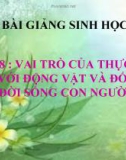 Bài giảng Vai trò của thực vật đối với động vật và đối với đời sống con người - Sinh học 6 - GV: Phan Châu Tuấn