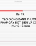 Giáo án điện tử Sinh học lớp 12: Bài 19