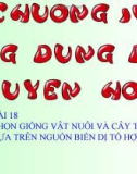 Giáo án điện tử môn sinh học: Sinh học lớp 12-CHỌN GIỐNG VẬT NUÔI VÀ CÂY TRỒNG DỰA TRÊN NGUỒN BIẾN DỊ TỔ HỢP