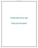 Văn mẫu lớp 9: Chứng minh câu tục ngữ Uống nước nhớ nguồn.