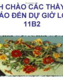 Bài giảng Ngữ văn 11: Chữ người tử tù - Nguyễn Tuân (Tiết 2)