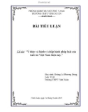 Bài tiểu luận: Ý thức và hành vi chấp hành pháp luật của tuổi trẻ Việt Nam hiện nay