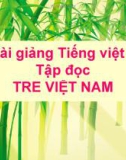 Bài giảng Tập đọc: Tre Việt Nam - Tiếng việt 4 - GV.N.Hoài Thanh