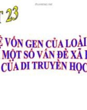 Giáo án điện tử sinh học: Sinh học lớp 12-BẢO VỆ VỐN GEN CỦA LOÀI NGƯỜI VÀ MỘT SỐ VẤN ĐỀ XÃ HỘI CỦA DTH