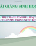 Bài giảng Sinh học 8 bài 26: Thực hành tìm hiểu hoạt động của enzim trong nước bọt