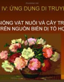 Giáo án điện tử sinh học: Sinh học 12-CHỌN GIỐNG VẬT NUÔI VÀ CÂY TRỒNG DỰA TRÊN NGUỒN BIẾN DỊ TỔ HỢP