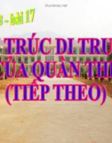 Giáo án điện tử môn sinh học: sinh học lớp 12- Bài 18: Cấu trúc di truyền của quần thể