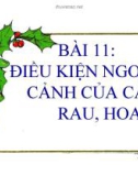 Bài giảng Kỹ thuật 4 bài 11: Điều kiện ngoại cảnh của cây rau, hoa