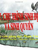 Bài giảng Sinh học 12 - Bài 44: Chu trình sinh địa hóa và sinh quyển (Phạm Văn An)