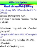 Giáo án điện tử môn sinh học: chuột chũi