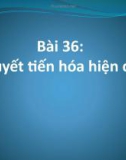 Giáo án điện tử môn sinh học: sinh học lớp 12- Bài 36: Thuyết tiến hóa hiện đại