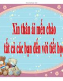 Bài giảng Ngữ văn 9: Truyện ngắn Chiếc lược ngà