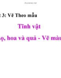 Bài giảng Tiết 3: Vẽ theo mẫu - Tĩnh vật (Lọ, hoa và quả, vẽ màu)