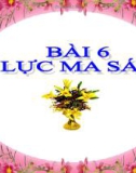 Bài giảng Vật lý 8 bài 6: Lực ma sát