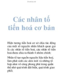 Các nhân tố tiến hoá cơ bản