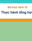 Bài thực hành 10: Thực hành tổng hợp - Tin lớp 7