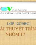 Bài giảng Ngữ văn lớp 12 - Bài: Tác giả Nguyễn Minh Châu và Nguyễn Trung Thành