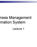 Lecture Business management information system - Lecture 1: Introduction