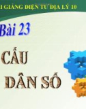 Bài giảng Địa lý 10 bài 23: Cơ cấu dân số