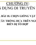 Bài giảng Sinh học 12 bài 18: Chọn giống vật nuôi và cây trồng dựa trên nguồn biến dị tổ hợp